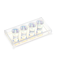 Small Tray Small Tray freeshipping - JR William Decorative Trays